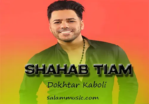 Shahab Tiam-Dokhtar Kaboli