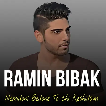 Music Ramin Bibak - Nemidoni Bedone To chi Keshidam