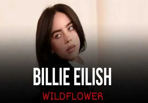 Billie Eilish - Download Music Wildflower